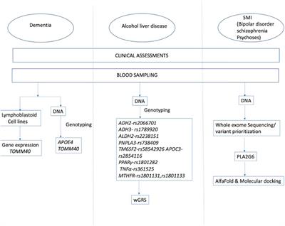 Molecular genetics of neuropsychiatric illness: some musings